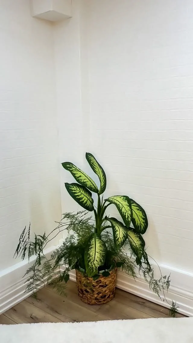 Forte ışığı kadın şıklığı ✨

www.fortebutik.com 

#fortebutik #istanbul #küçükyali #liketime #giyim #mağaza #butik #tesettur #abiye #pantolon #mont #ceket #kazak #saat #marka #dilvin #instagood #love #fashiongram #fashiondesigner #türkiye